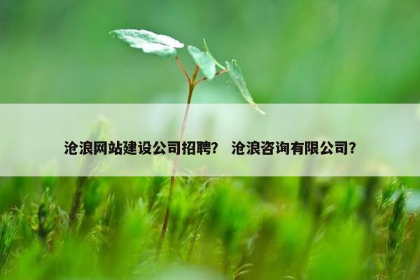 沧浪网站建设公司招聘？ 沧浪咨询有限公司？
