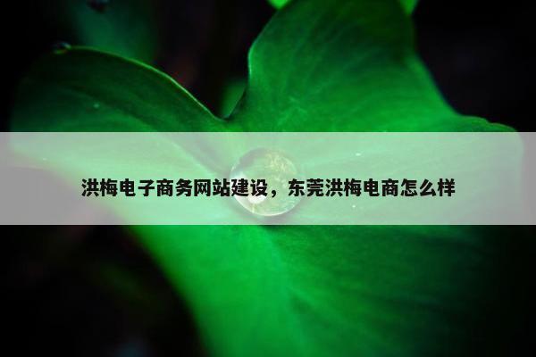 洪梅电子商务网站建设，东莞洪梅电商怎么样