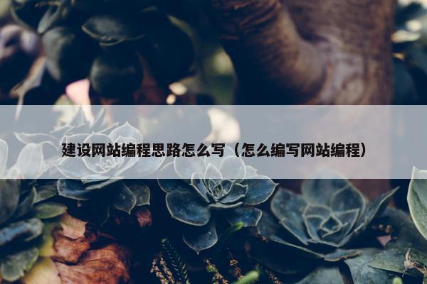 建设网站编程思路怎么写（怎么编写网站编程）
