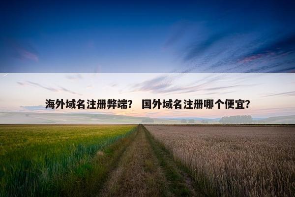 海外域名注册弊端？ 国外域名注册哪个便宜？