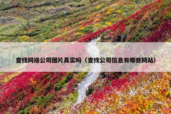 查找网络公司图片真实吗（查找公司信息有哪些网站）