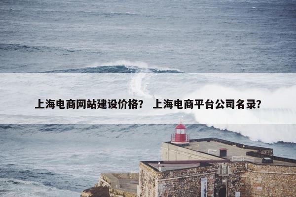 上海电商网站建设价格？ 上海电商平台公司名录？