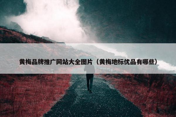 黄梅品牌推广网站大全图片（黄梅地标优品有哪些）