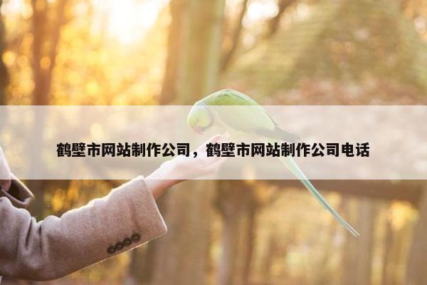 鹤壁市网站制作公司，鹤壁市网站制作公司电话