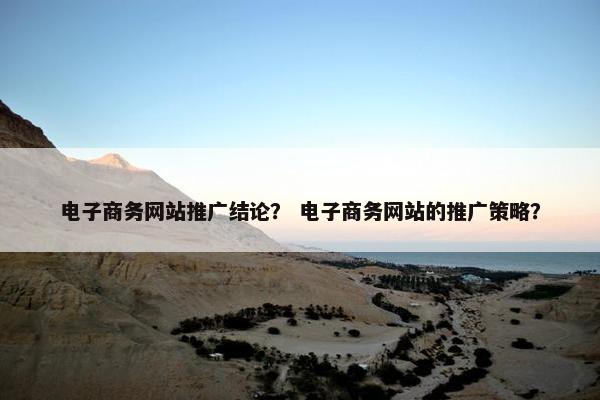 电子商务网站推广结论？ 电子商务网站的推广策略？