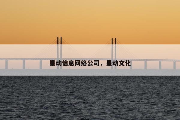 星动信息网络公司，星动文化