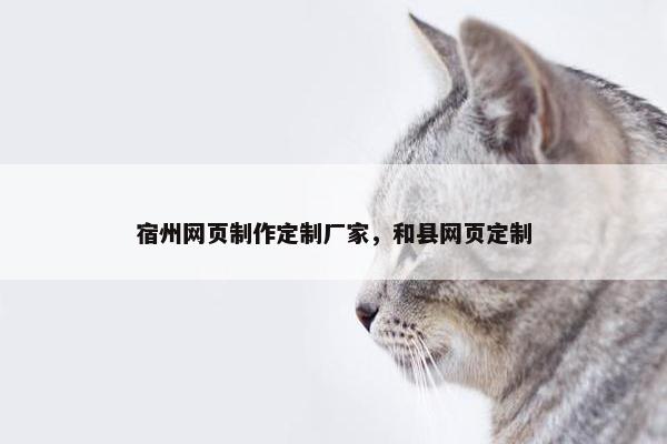 宿州网页制作定制厂家，和县网页定制