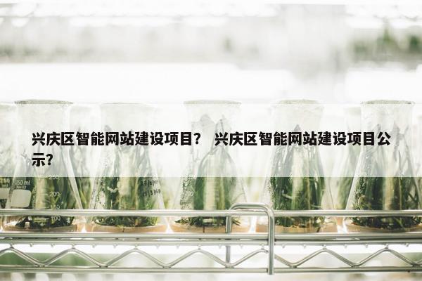 兴庆区智能网站建设项目？ 兴庆区智能网站建设项目公示？