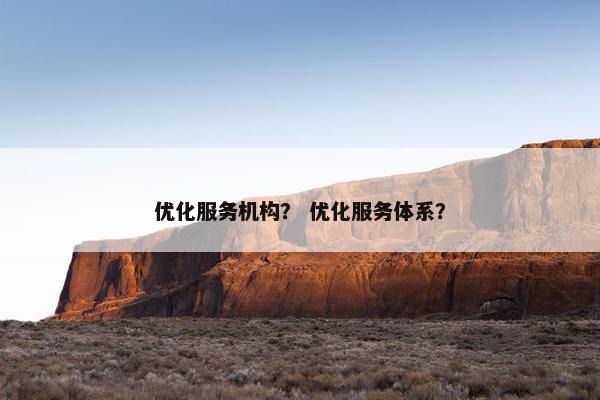 优化服务机构？ 优化服务体系？