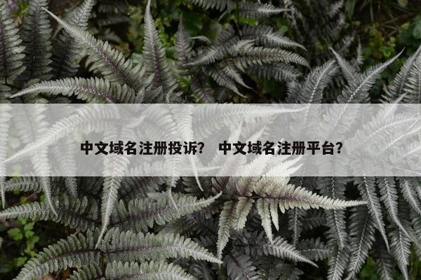 中文域名注册投诉？ 中文域名注册平台？