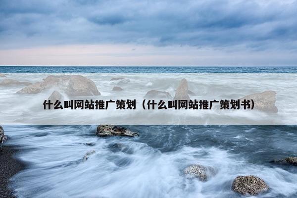 什么叫网站推广策划（什么叫网站推广策划书）