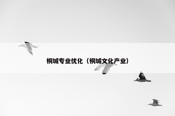 桐城专业优化（桐城文化产业）