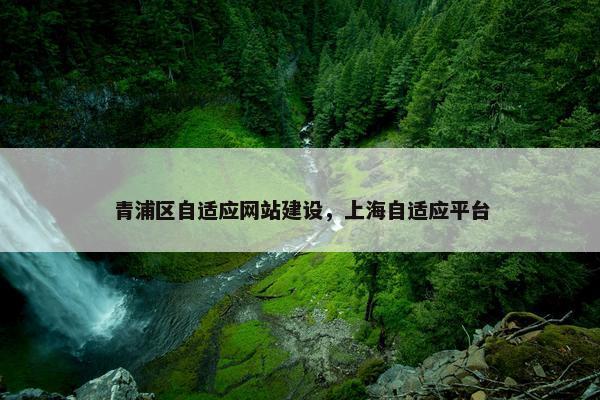 青浦区自适应网站建设，上海自适应平台