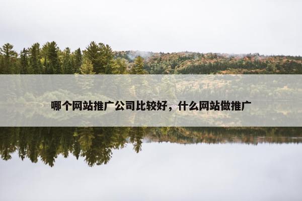 哪个网站推广公司比较好，什么网站做推广