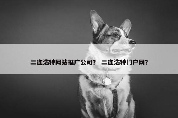 二连浩特网站推广公司？ 二连浩特门户网？