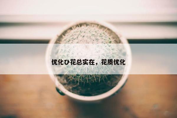 优化ひ花总实在，花质优化