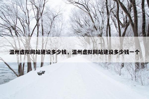 温州虚拟网站建设多少钱，温州虚拟网站建设多少钱一个