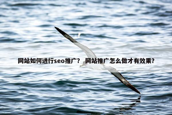 网站如何进行seo推广？ 网站推广怎么做才有效果？