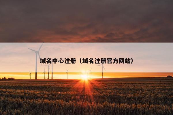 域名中心注册（域名注册官方网站）