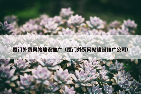 厦门外贸网站建设推广（厦门外贸网站建设推广公司）