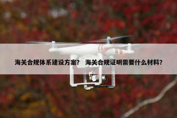 海关合规体系建设方案？ 海关合规证明需要什么材料？
