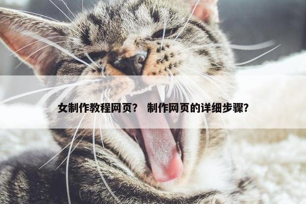 女制作教程网页？ 制作网页的详细步骤？