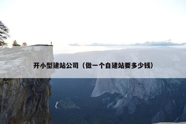 开小型建站公司（做一个自建站要多少钱）