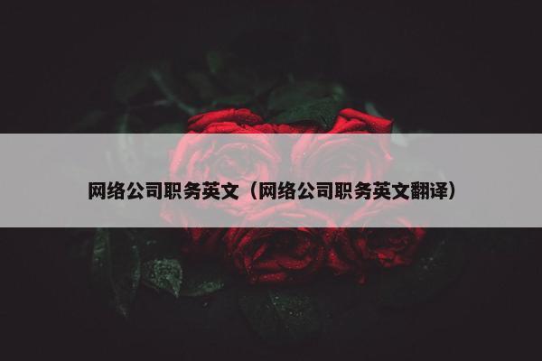网络公司职务英文（网络公司职务英文翻译）