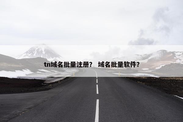 tn域名批量注册？ 域名批量软件？