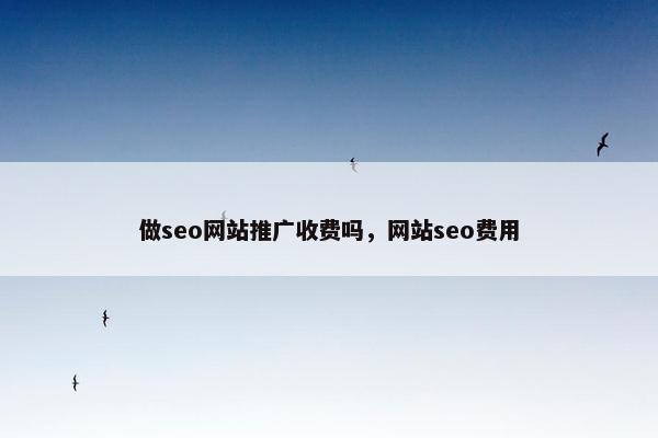 做seo网站推广收费吗，网站seo费用