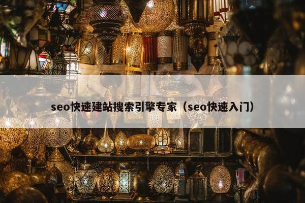 seo快速建站搜索引擎专家（seo快速入门）