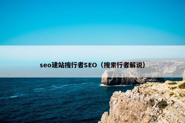 seo建站搜行者SEO（搜索行者解说）