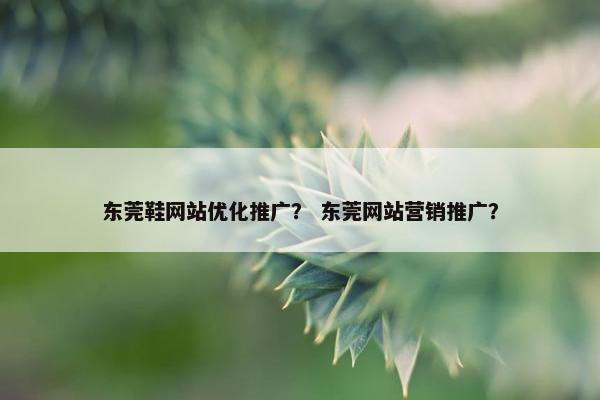 东莞鞋网站优化推广？ 东莞网站营销推广？