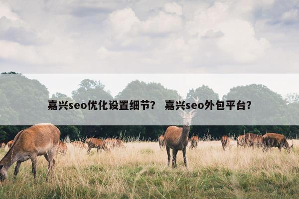 嘉兴seo优化设置细节？ 嘉兴seo外包平台？