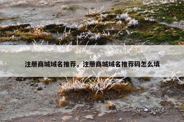 注册商城域名推荐，注册商城域名推荐码怎么填