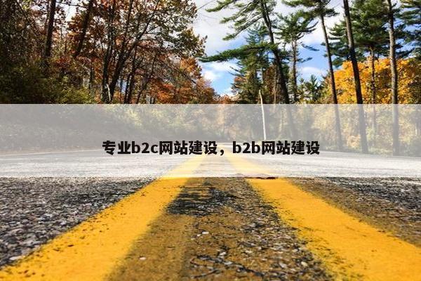 专业b2c网站建设，b2b网站建设