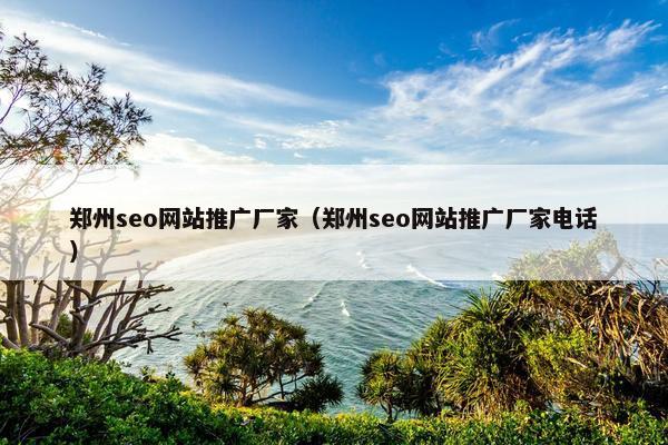 郑州seo网站推广厂家（郑州seo网站推广厂家电话）
