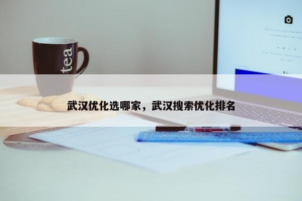 武汉优化选哪家，武汉搜索优化排名