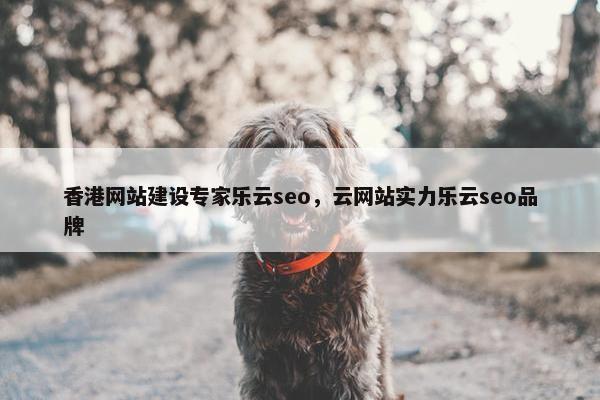 香港网站建设专家乐云seo，云网站实力乐云seo品牌
