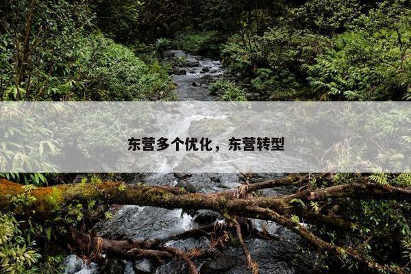 东营多个优化，东营转型