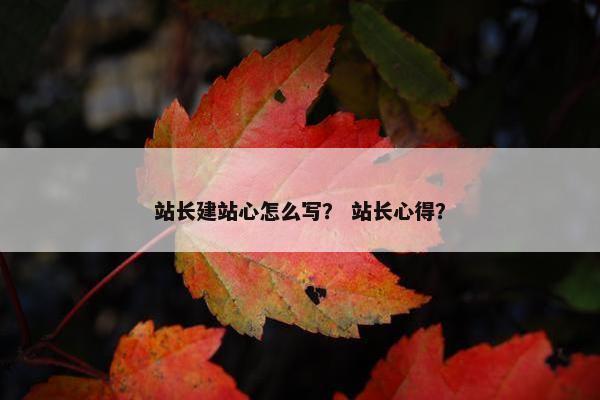 站长建站心怎么写？ 站长心得？