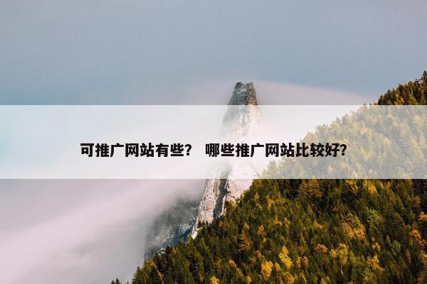 可推广网站有些？ 哪些推广网站比较好？