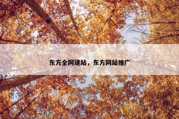 东方全网建站，东方网站推广