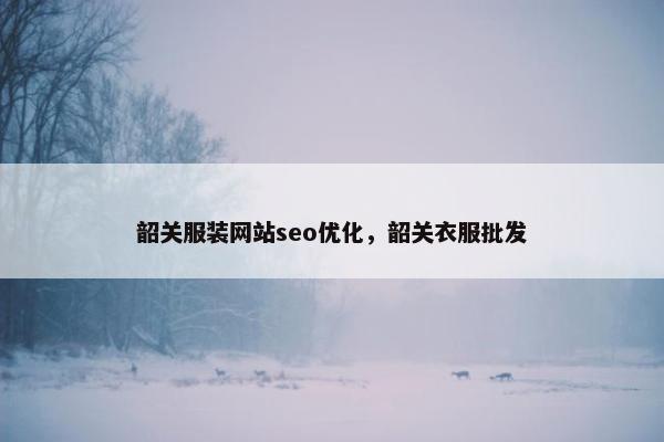 韶关服装网站seo优化，韶关衣服批发