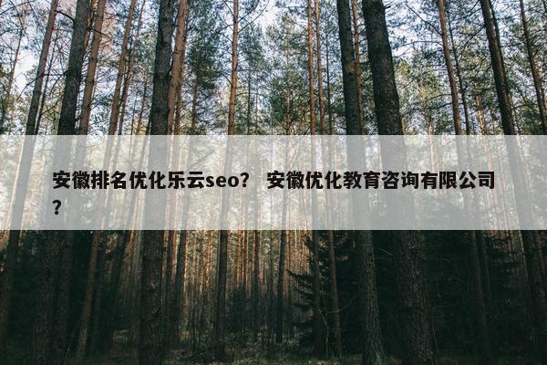安徽排名优化乐云seo？ 安徽优化教育咨询有限公司？