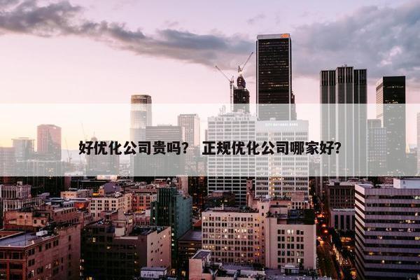 好优化公司贵吗？ 正规优化公司哪家好？