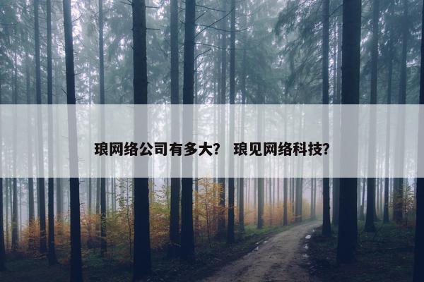 琅网络公司有多大？ 琅见网络科技？