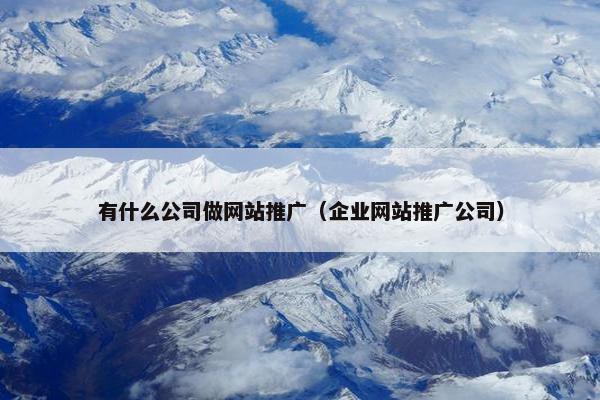 有什么公司做网站推广（企业网站推广公司）