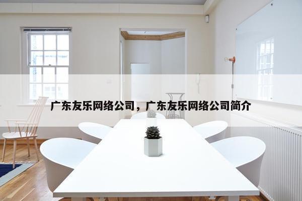 广东友乐网络公司，广东友乐网络公司简介