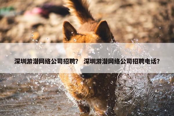 深圳游潜网络公司招聘？ 深圳游潜网络公司招聘电话？